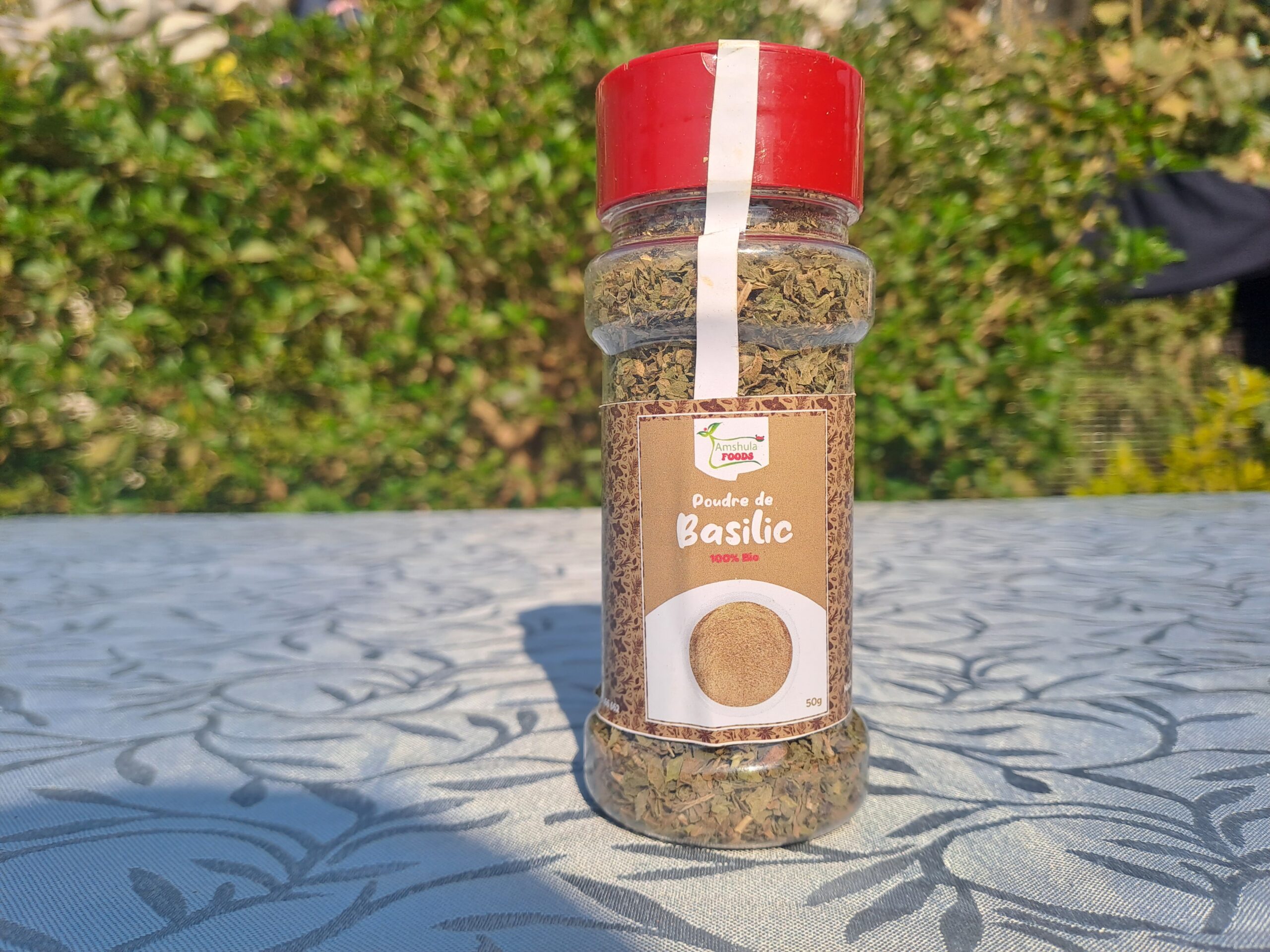 Basil - Image 2