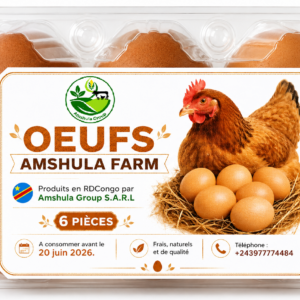 Eggs - Pack of 6
