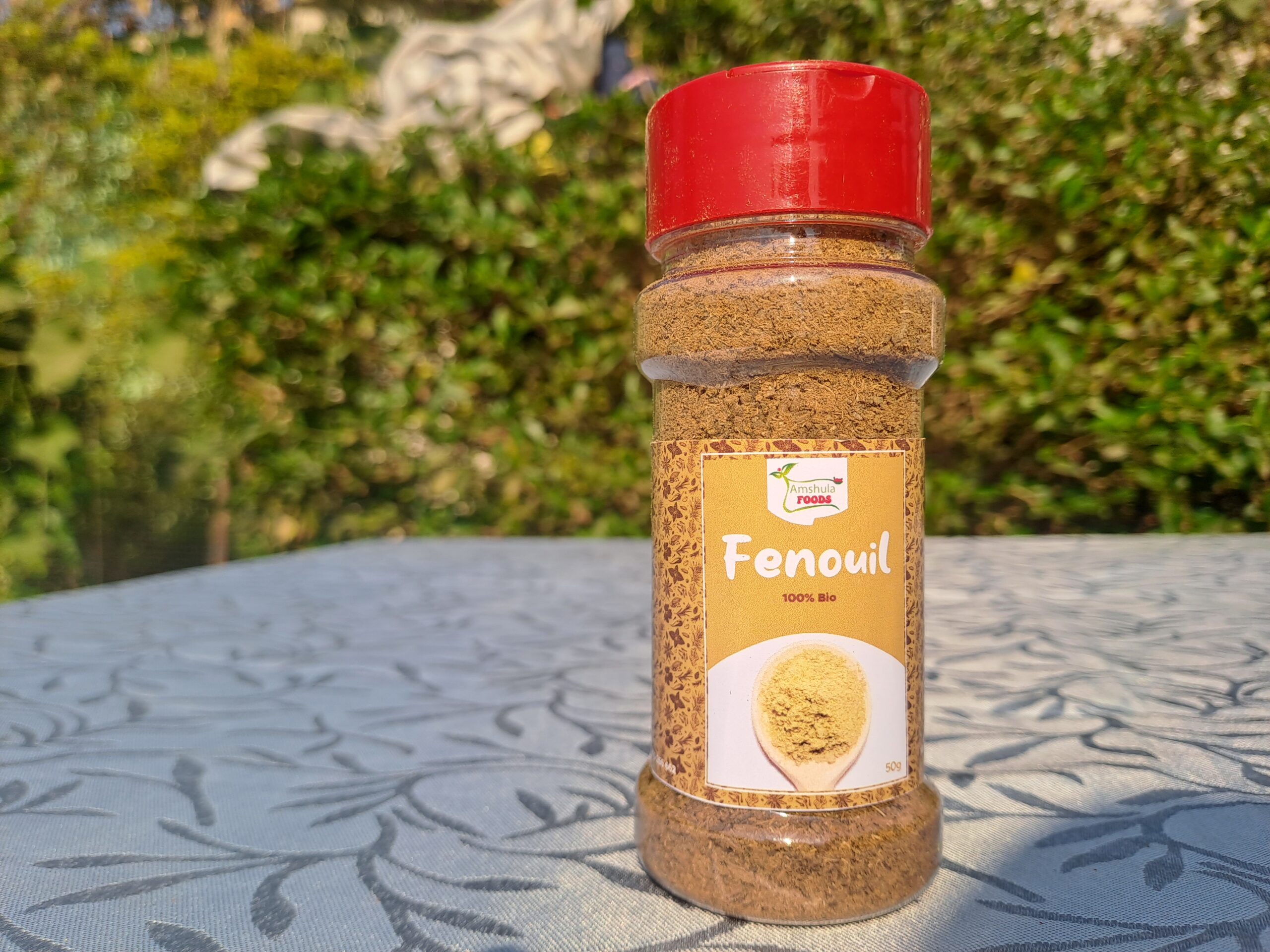 Fennel - Image 2